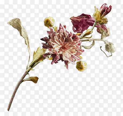 �л�������-������