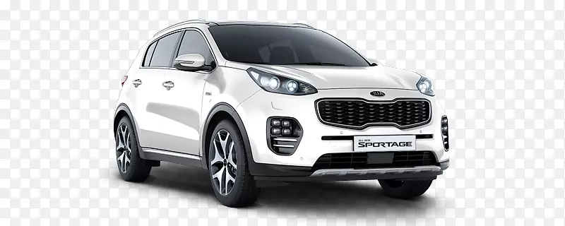 ���ǵ����������������2016�����˶���-����-������