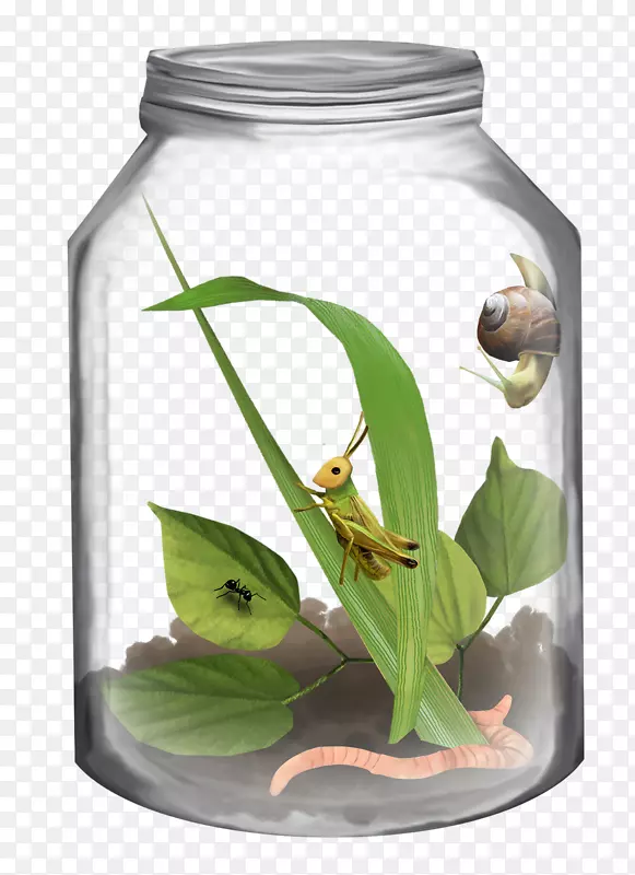 ƿ�޼�����.ƿװ��������-������