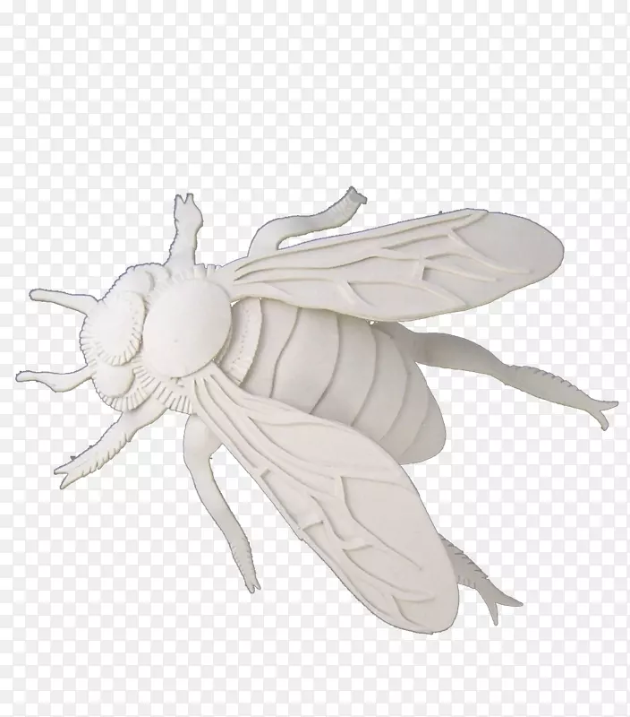 �۷�����ֽ��ֽ�����-������