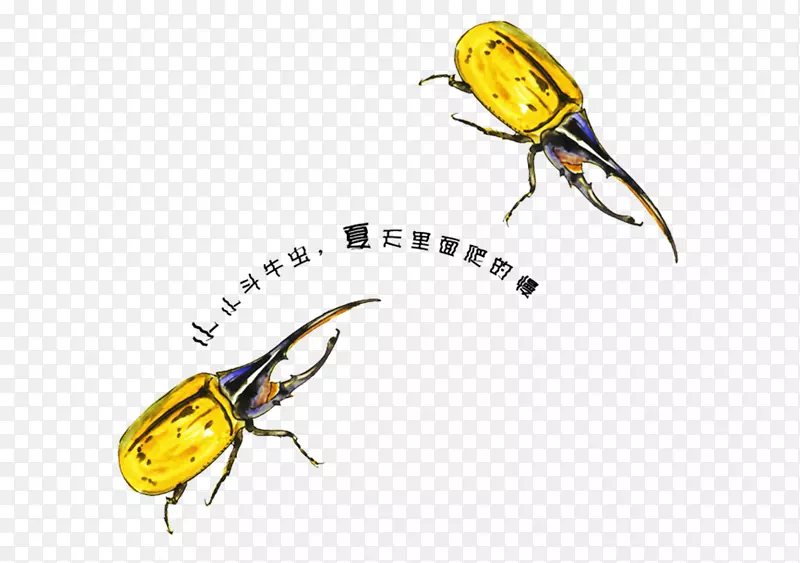 �Ϸ���ţ���۷䡢����-��ţ����-������