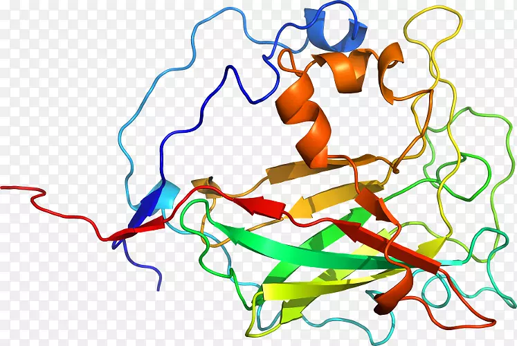 ������Ϊ�л�����������-������