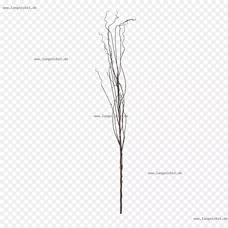 ���߽ǰ�ɫ������-������