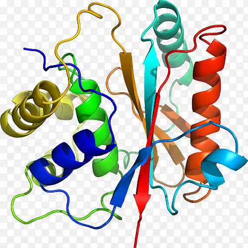 ����ƽ����Ƶ��������-������