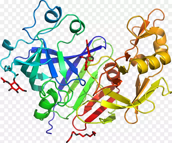 �ߵ������-��-������