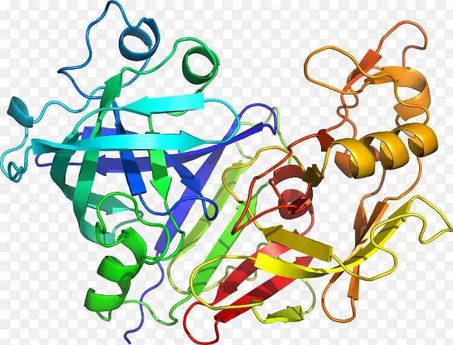 ���������л����߼�������-������