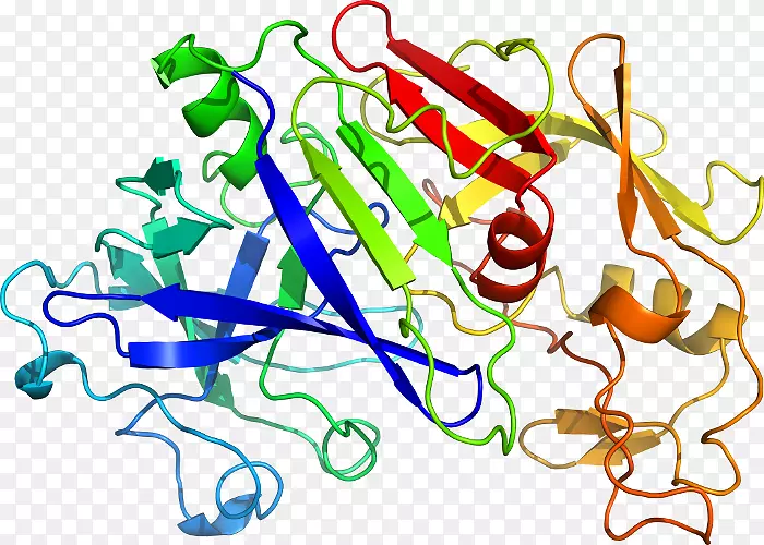 �ߵ������-��-������