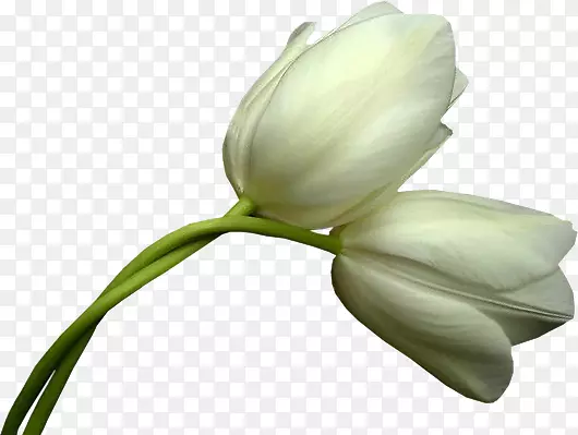 �廨����-������