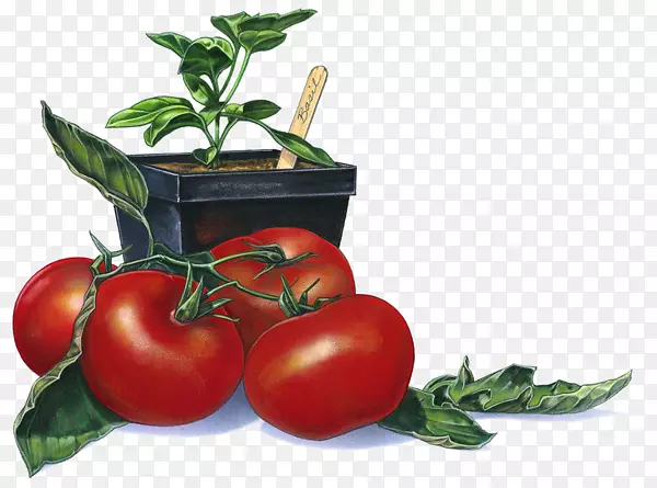 ������Ӱ������-�췬��-������