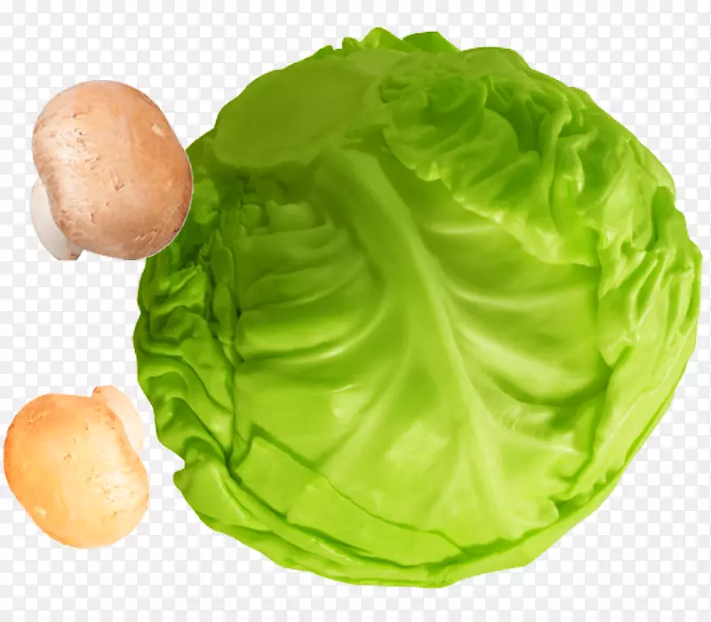 ����-�������Ĳ�-������