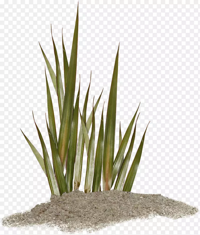 ���������-��-������