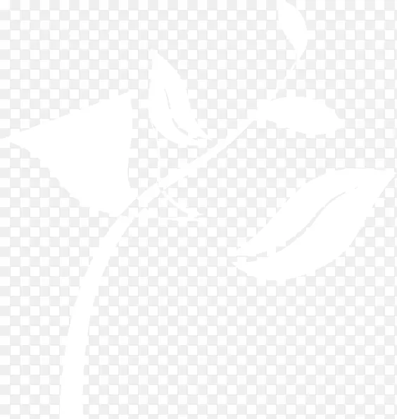 ˹�ٶ���ѧԺ�����ʼ����Ϲ���ѧ��������������Ӫ��ѧ��-�����ʼ�-������