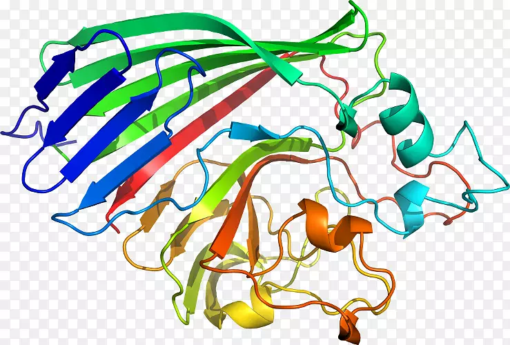 �ߵ������������-������