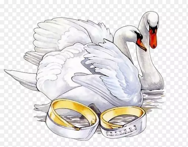 ����������������񵰸��ֻ����-������