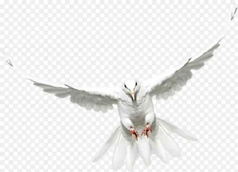 ��ë�����갲��³�����-��ë-������