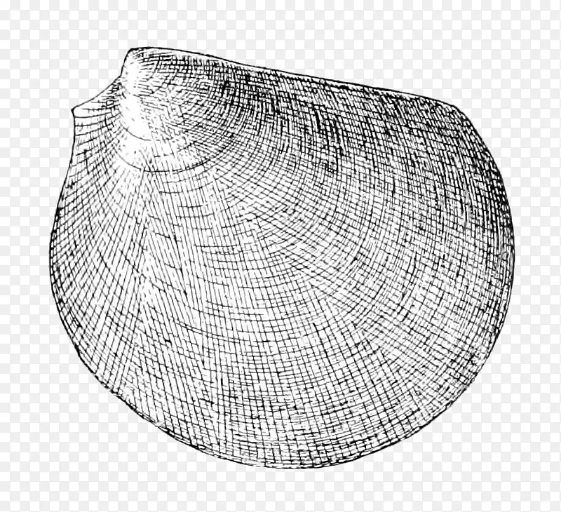 ����-��-������