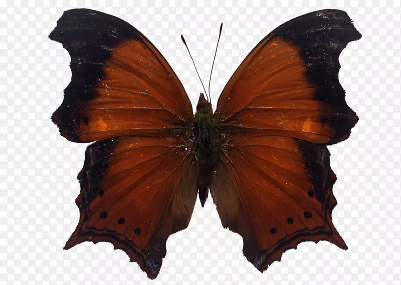 ����������-������