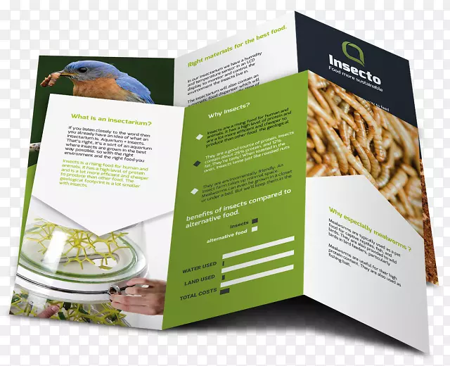 �̱꺣������-������