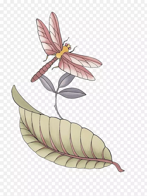 �����ͼ.������ɫ-������