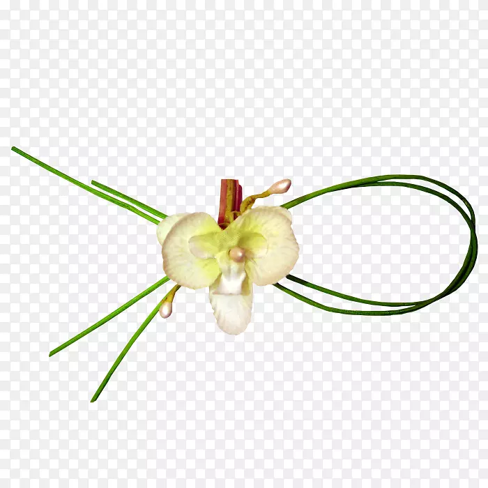 ������̽�ֲ��-������