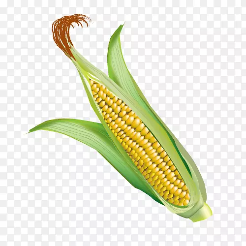 ������վ������ϵ�����-������