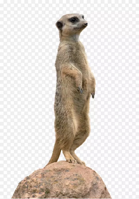 è�����������-������