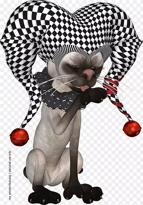 С��è��ͨ�廭-С��ͨè-������