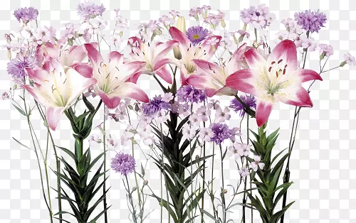 ��������л������ٺϻ�-������