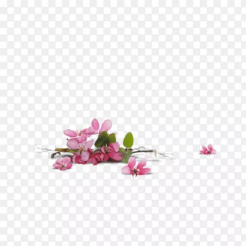 ��������л����껨-������