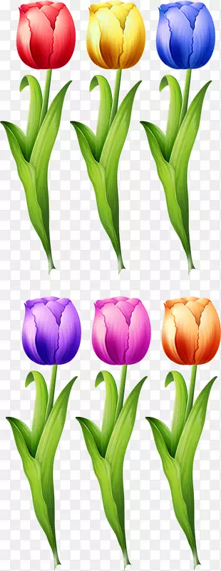 �����㻨��ͼ.�ֻ�������-������