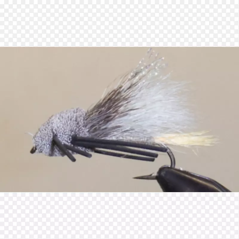 �˹�Ӭ�຦��-������