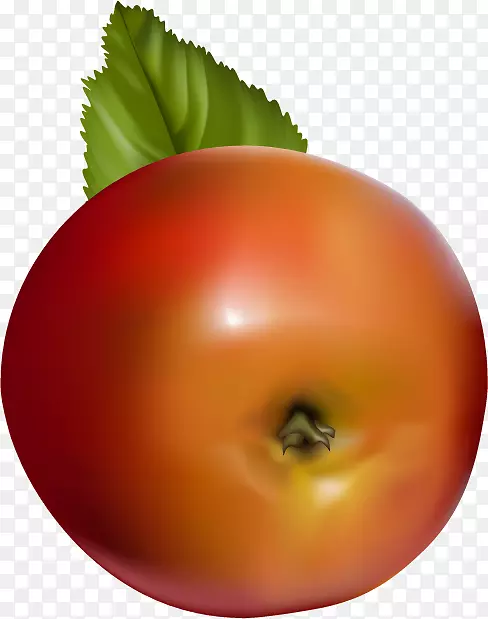 ����ƻ����ʵƻ���ײ�-������