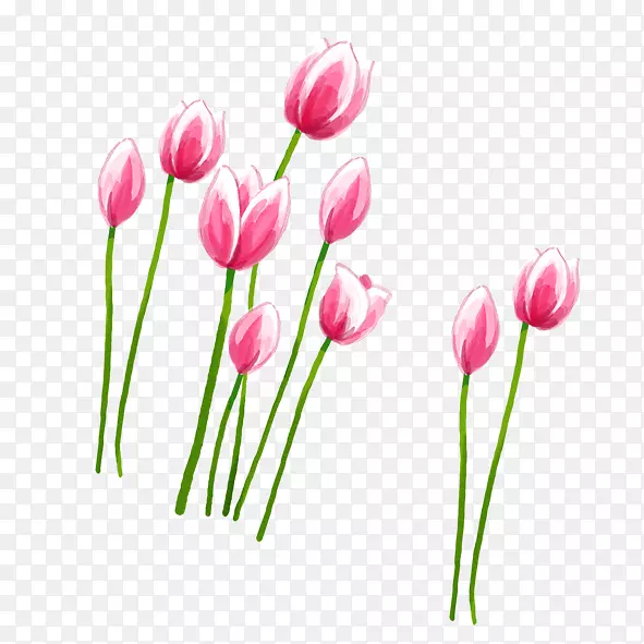 �����㻨��ۺ�������-������