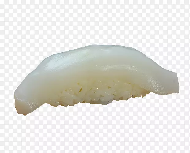 ����֬��-������