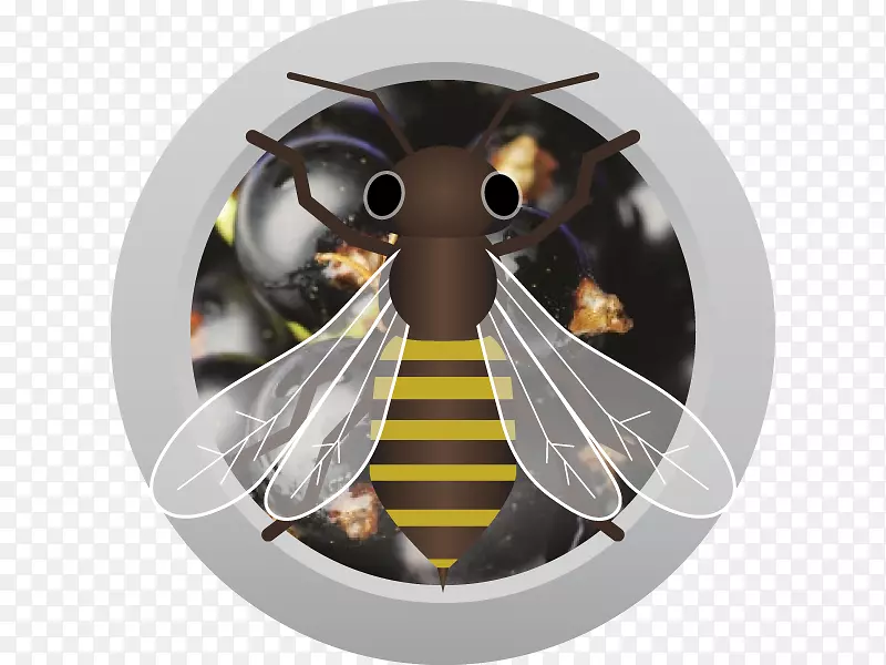 �׵��۷��˹͡���ƹ�Ӧˮ���������-�۷�-������