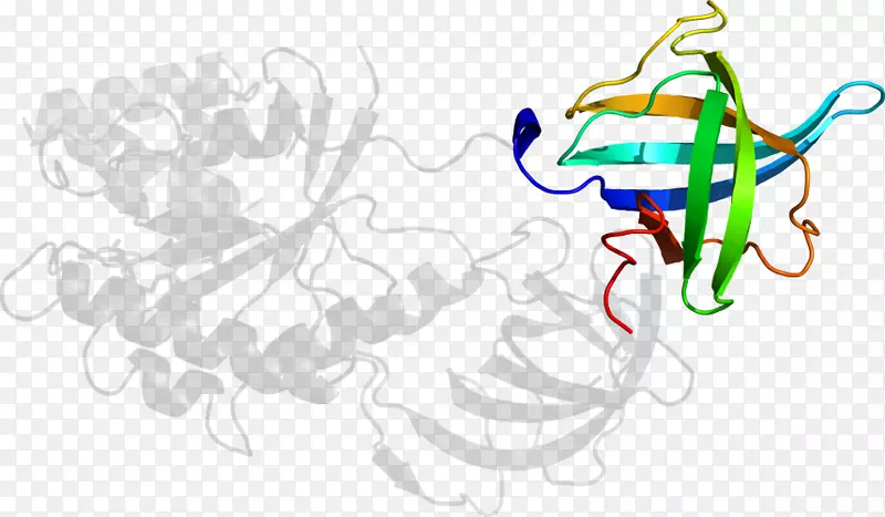 ƽ����Ƽ�����.���-������