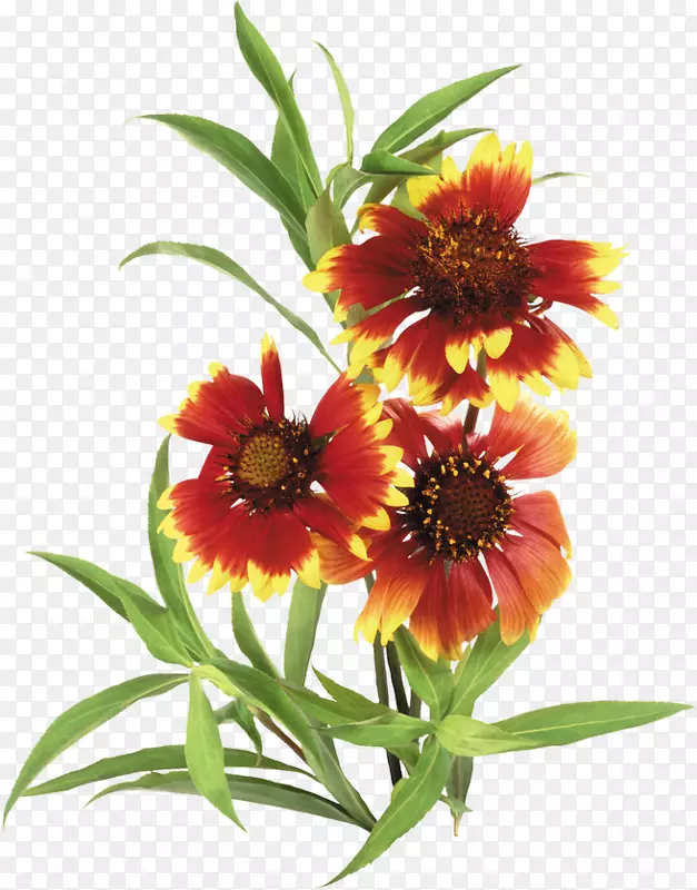 ����Ů��-��-������