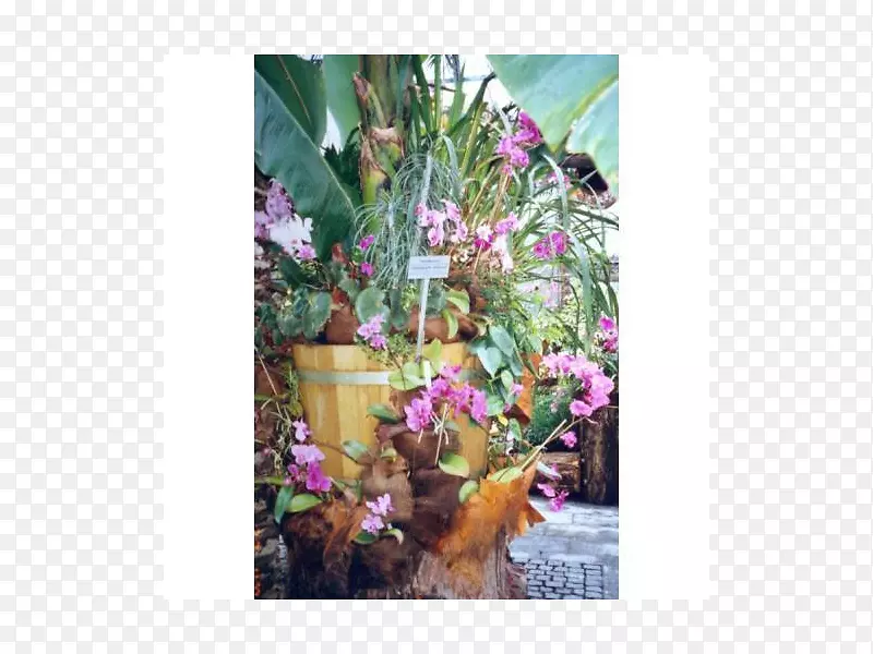 ������ƶ���Ⱥ����ֲ��.���-������