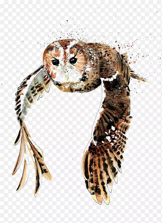 ��ëèͷӥˮ�ʻ�ˮ��èͷӥˮ�ʻ�-������