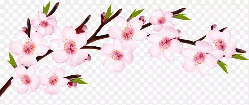 ӣ��-������