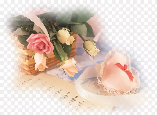 �������������ֽ��-��-������