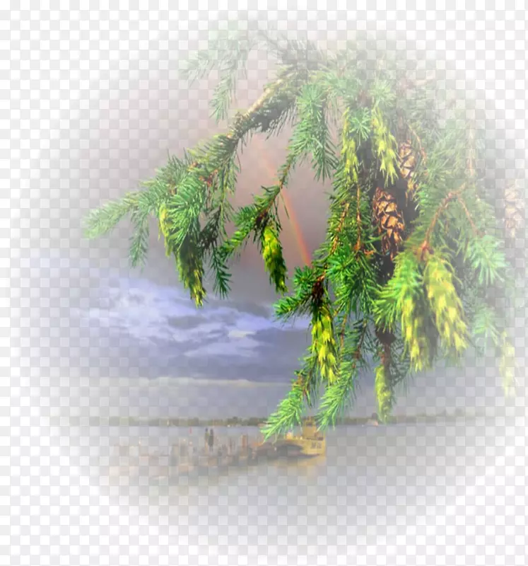 �����ֽ�����Ա�ֽ��-������