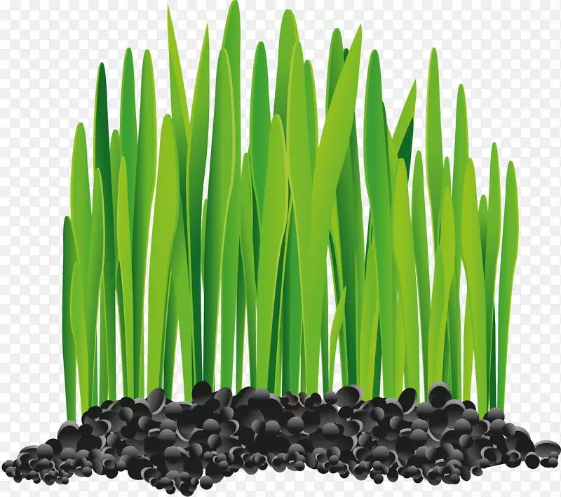 ��������������-������