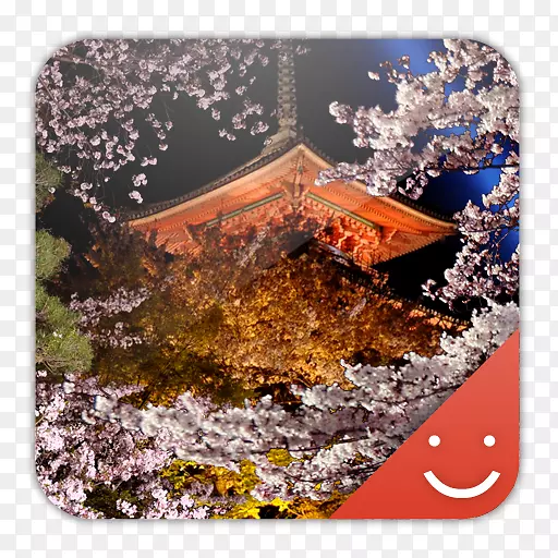 ��׿���غ�ݮ�ֻ�-������