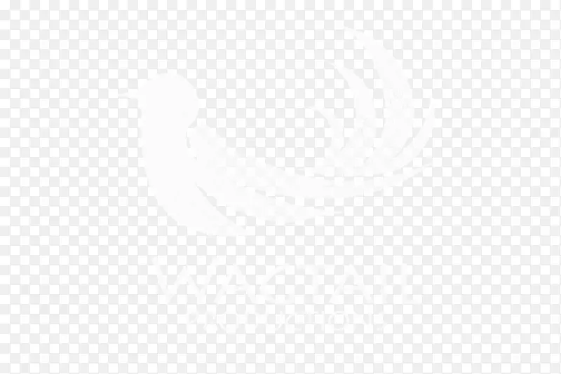 ��ɫ�����ֽ�����-������