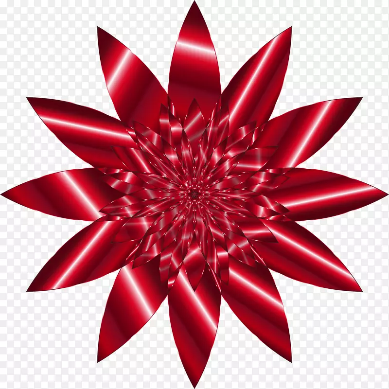 �����ֽ������-������