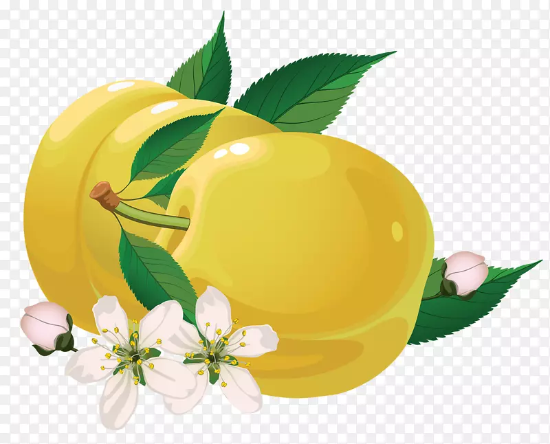 ˮ����Ӱ-��Ѳ�ͼ-����-������