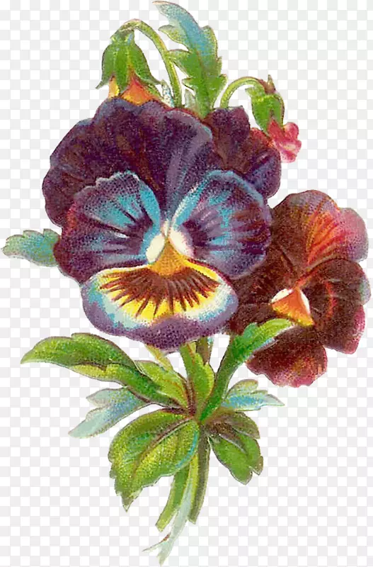 ��������л�õ�廨-������