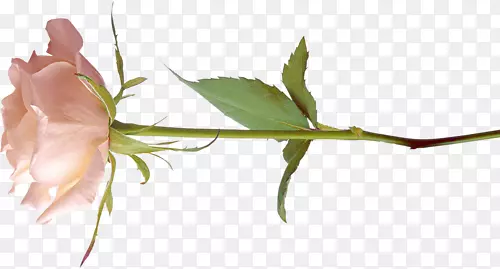 ���ͻ�-��-������