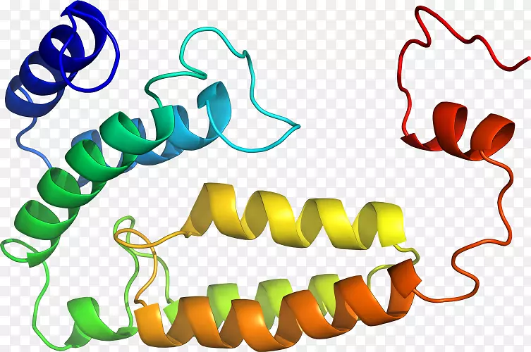 ���������л����߼�������-������